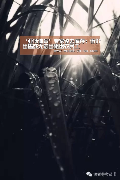 ‘亚博体育’专家谈去库存:低价出售或无偿出租给农民工(图3) 亚博体育