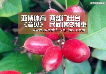 亚博体育